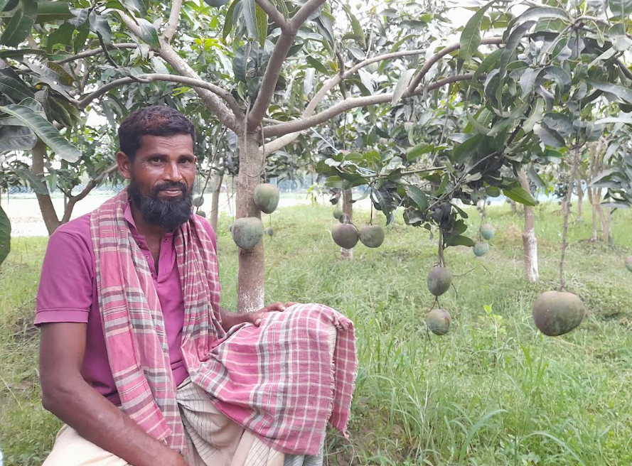 ৫০ হাজার টাকার ধানের জমিতে ৫ লাখ টাকার আম